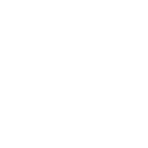 Plan de travail 1Portalp